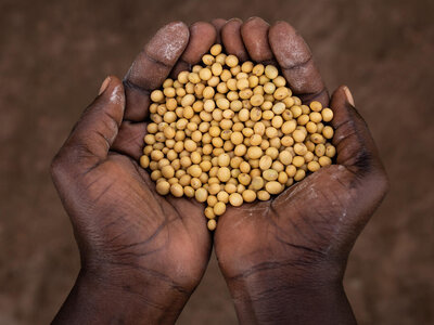 Photo: WFP A fistful of corinth