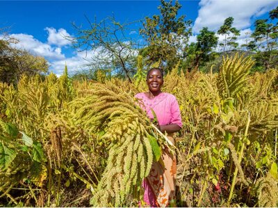 Woman harvesting crops from her field