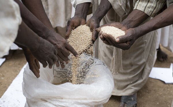 Photo: WFP/Muhammad Salah