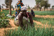 Burkina