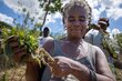 A woman assesses the yield from an irrigation project in Haiti