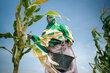 Somali farmer Safiyo Mohamud Said tends to her corn crop. Photo: WFP/Arete/Utaama Mahamud