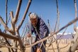 A man in a blue sweatshirt and plans digs into sandy ground, with bare branches in the foreground. Photo: WFP/Maxime Le Lijour