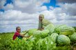 A smiling boy and woman sit in a green field surrounded by watermelons. Photo:  WFP/Dennis Matendechere