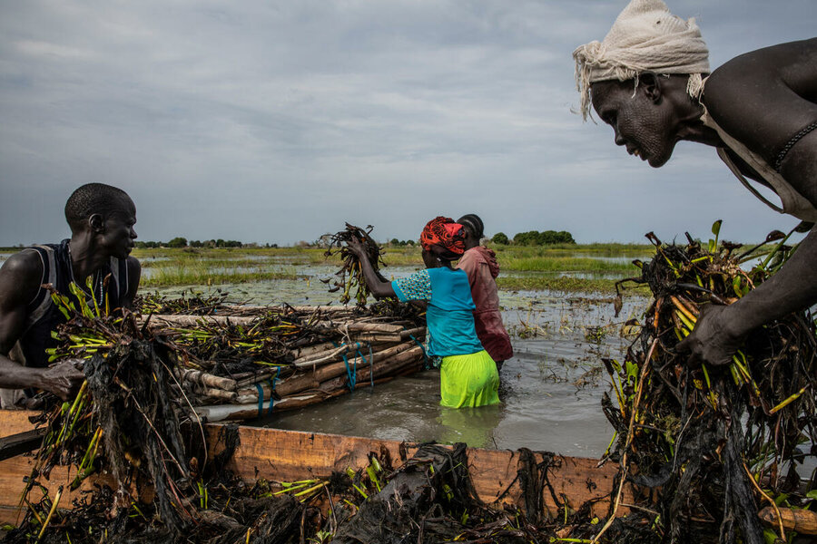 People set up floating vegetable garden in Unity State South Sudan.Gabriela Vivacqua