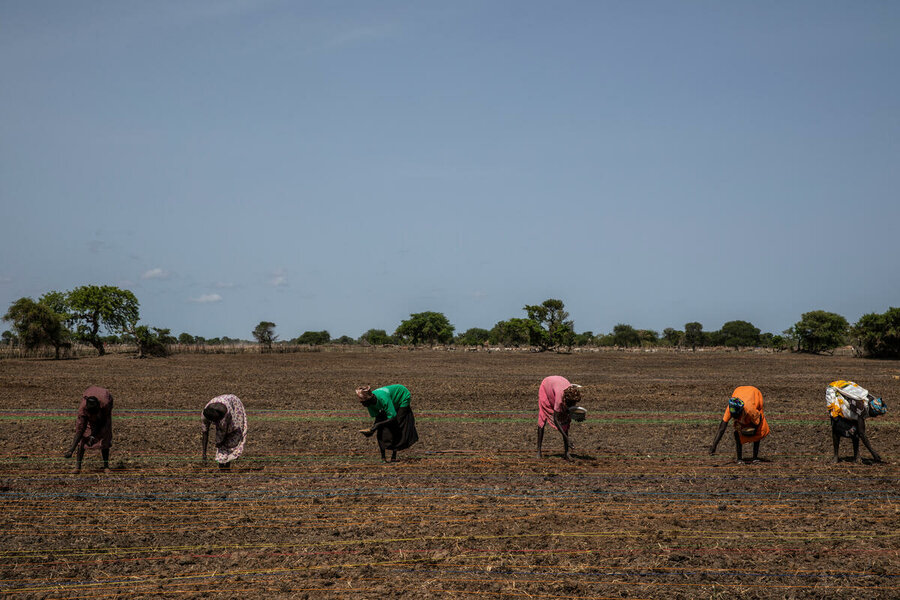 Women sow water-intensive rice in South Sudan, where floods have worsened. Photo: WFP/Gabriela Vivacqua