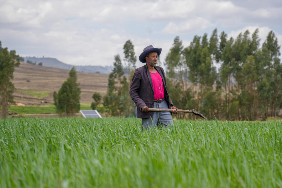 Farmer Ali Yimer, wearing a cowboy hat and jacket, looks over his land where his crops are thigh-high. Photo: WFP/Michael Tewelde