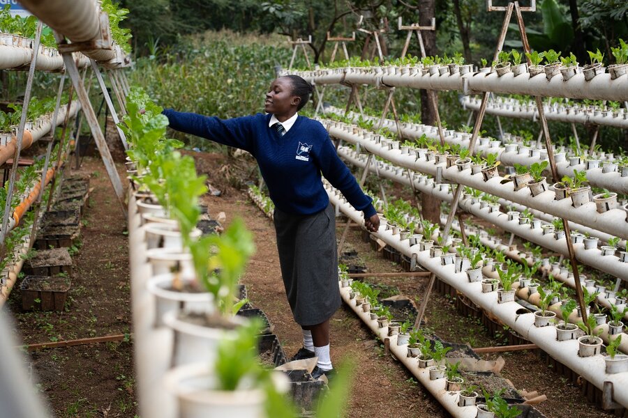 A young schoolgirl in a blue and grey uniform tends to dozens of seedlings in white plastic yoghurt pots. Photo: WFP/Lisa Murray