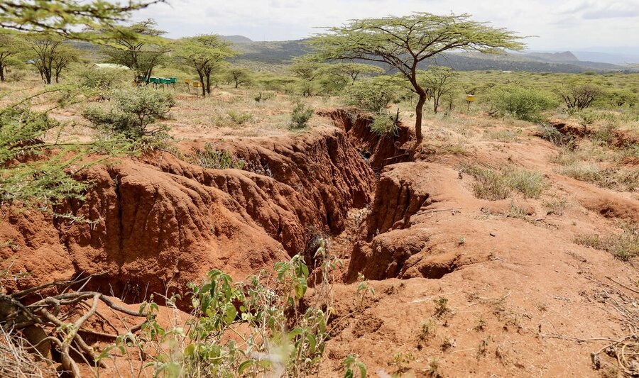 A gully cuts through red land, dotted with trees. Photo: WFP/Patrick Mwangi