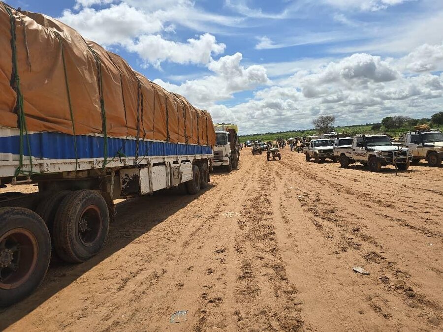 A line of trucks driving down a sandy road in eastern Chad, with other vehicles on the side. Photo: WFP/Photolibrary 