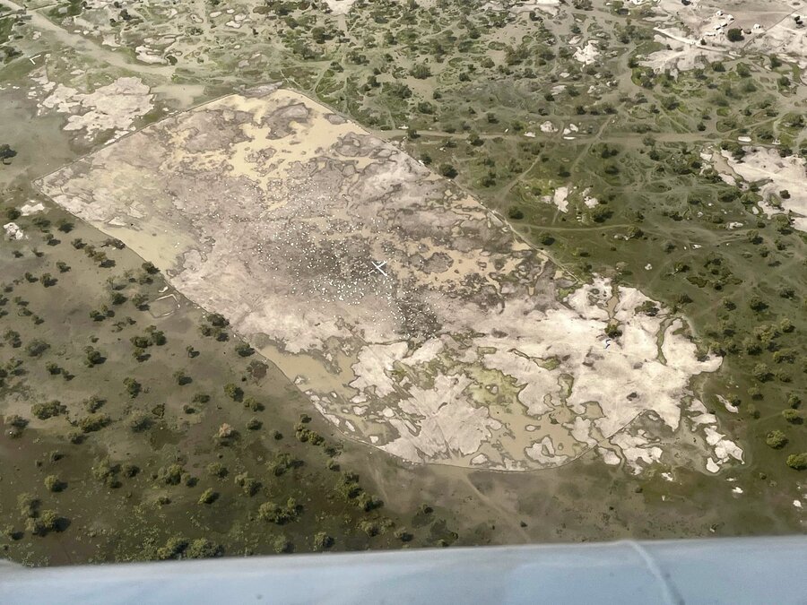 An aerial view of the airdrop zone - a patch of dusty land surrounded by clumps of trees - from a plane above South Sudan's Jonglei State. Photo: WFP/Hedley Tah