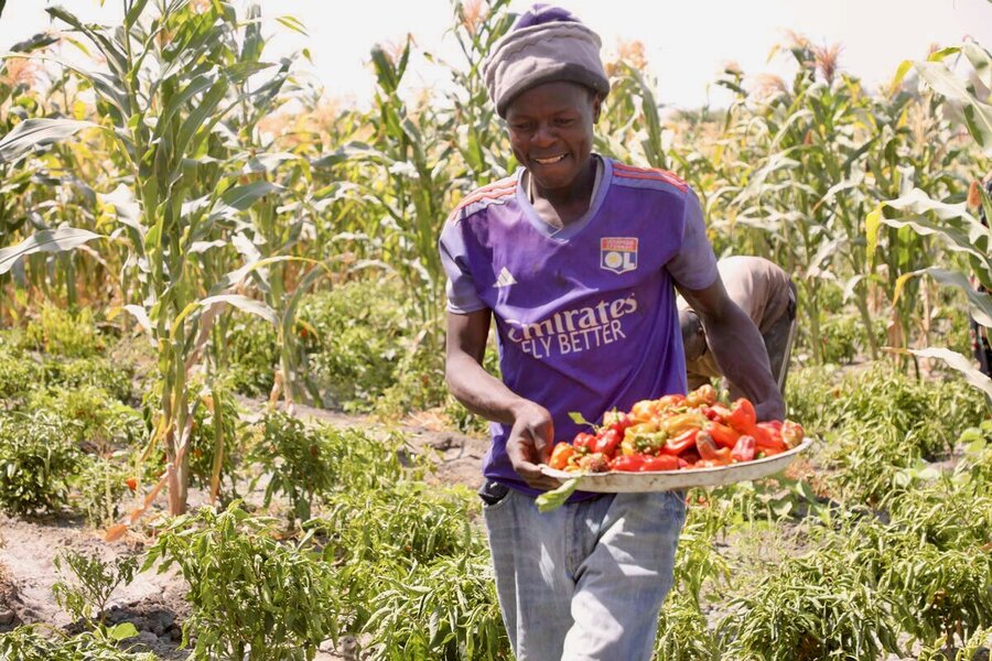 A man carries a platter of colourful peppers through a field. Photo: WFP/Asma Achahboun